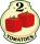 Logo - 2Tomatoes Games